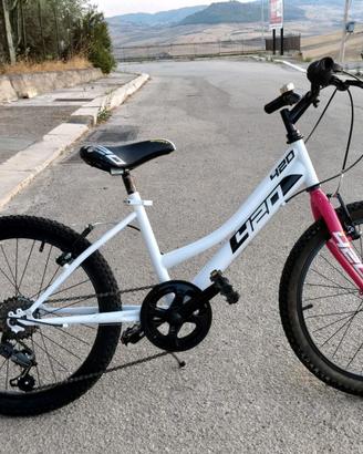 DINO BIKES Bicicletta 20 Pollici Mtb Bianco