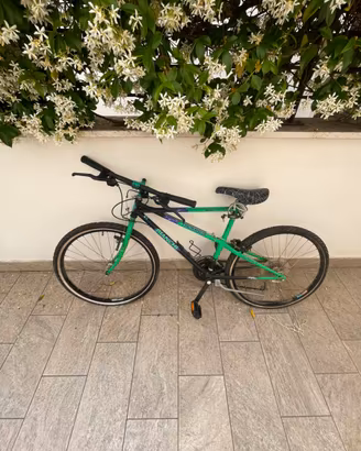 Bicicletta verde da città – Usata.