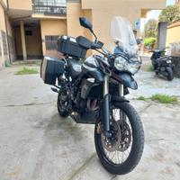 Tiger 800