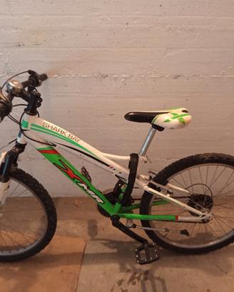 Mountain bike 24 pollici
