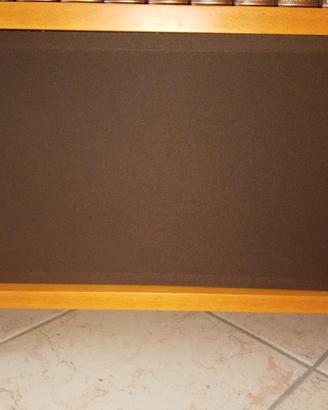 casse acustiche ESB LD80 €200