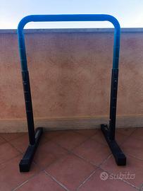 Parallele ginnastica