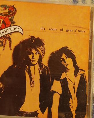 CD raccolte brani demo Hollywood Rose 