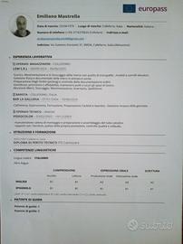 Operaio magazziniere barista