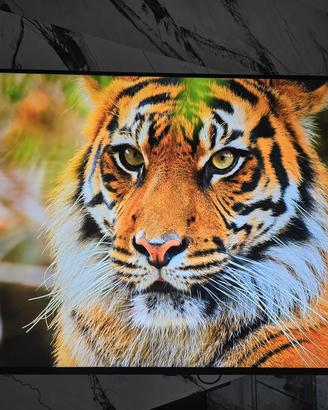 LG 55SM8600PLA NanoCell 55" 4K Smart TV – Perfetta