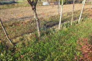 Rif.R/4040| area edificabile zane'