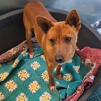 ARNOLD 11 mesi aspetta solo TE