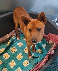 ARNOLD 11 mesi aspetta solo TE