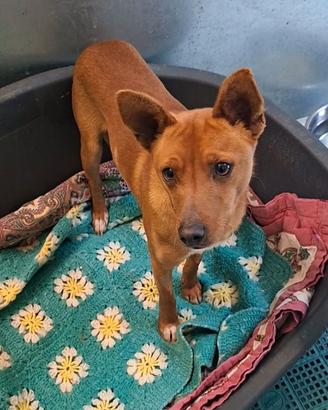 ARNOLD 11 mesi aspetta solo TE