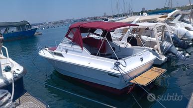 Barca florida cabinata