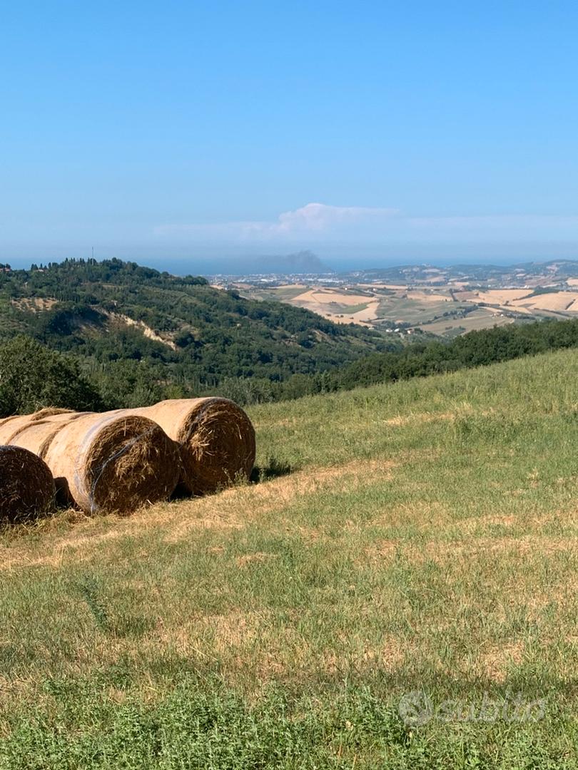 Terreno Agricolo - Vista 2