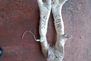 collettore cbr 600 2004