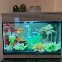 Acquario Askoll Pure L