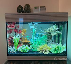 Acquario Askoll Pure L