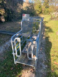 Gabbie gestazione per suini