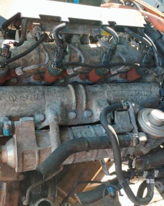 Testata Iveco Daily 3,0 2007 F1CE0481H