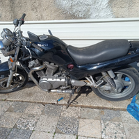 Suzuki vx 800