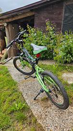 Bici IBK Global 20'' Pollici