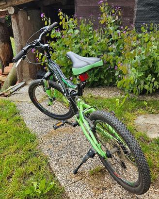 Bici IBK Global 20'' Pollici