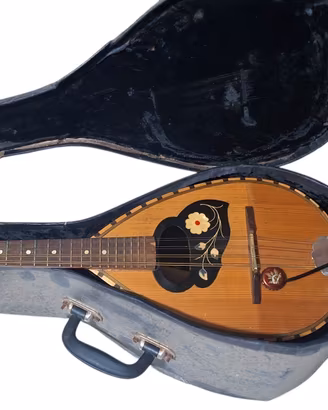 Mandolino anni 70' liuteria Meazzi