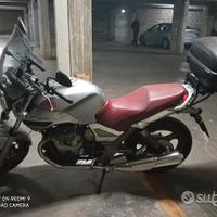 Moto Guzzi Breva 750 - 2003