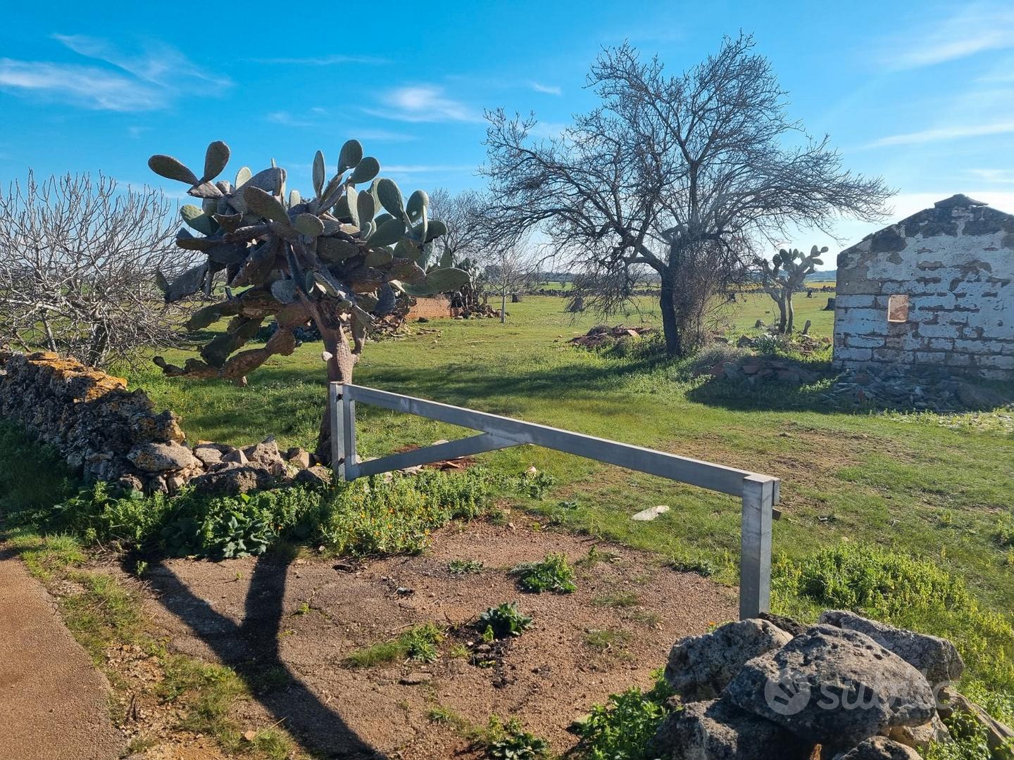 Terreno agricolo in agro di Galatina - Vista 2