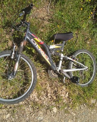 Bicicletta Olmo bambino