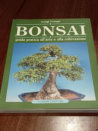 Bonsai 