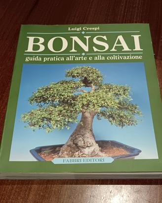 Bonsai 