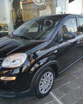 FIAT Panda 1.0 65CV ICON Hybrid