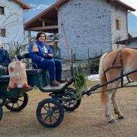 carrozza 6 posti