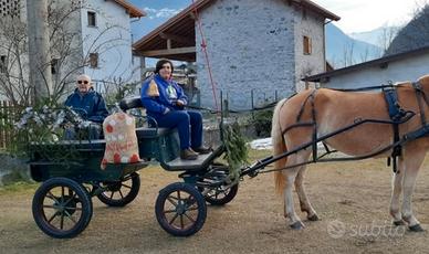 carrozza 6 posti