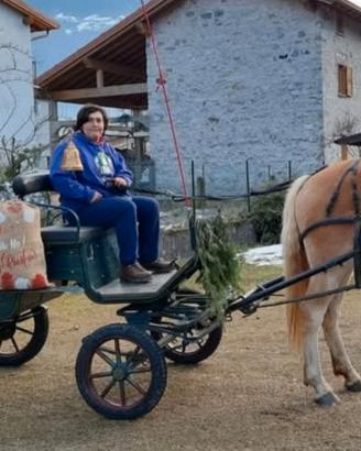 carrozza 6 posti