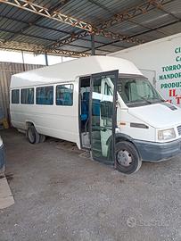  Daily minibus 19 posti