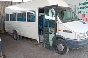  Daily minibus 19 posti