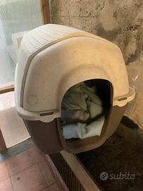 Cuccia c cane  medio in resina