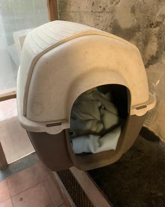 Cuccia c cane  medio in resina