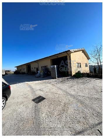Azienda Agricola Poggio San Marcello [A4340673] - Vista 4
