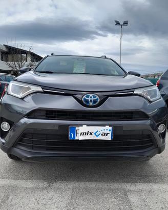 Toyota RAV 4 RAV4 2.5 Hybrid 4WD BUSINESS