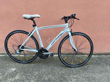 Olympia Superleggera 