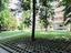 Immagine 29