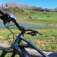 Mondraker crafty e-bike