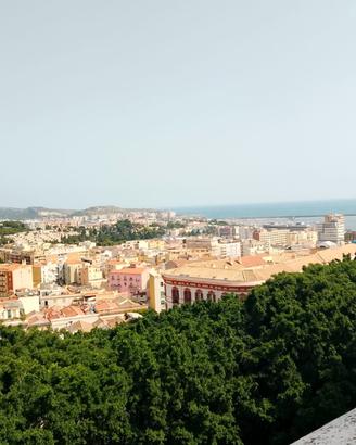 Camera singola Dal 2 al 31 agosto