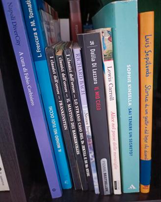 Lotto libri