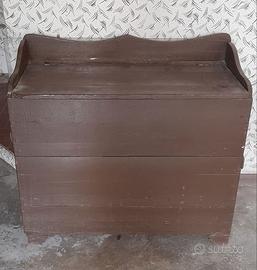 Madia/legnaia rustica