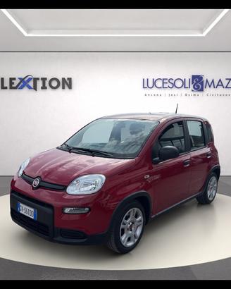 FIAT Panda My23 1.0 70cv Hybrid Panda