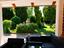 Immagine 27