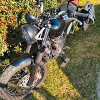  Triumph scrambler 900 2024