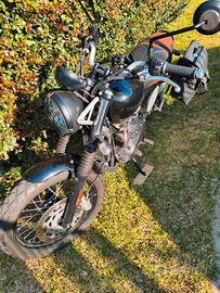  Triumph scrambler 900 2024