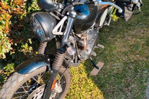  Triumph scrambler 900 2024